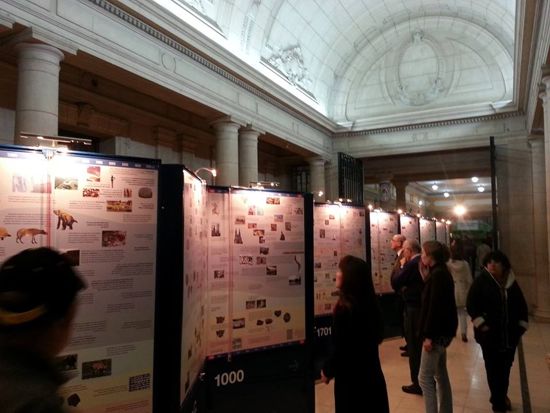 Feria del Libro
