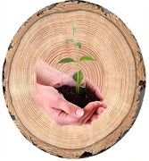 Arbol