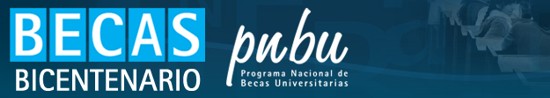 Becas Bicentenario