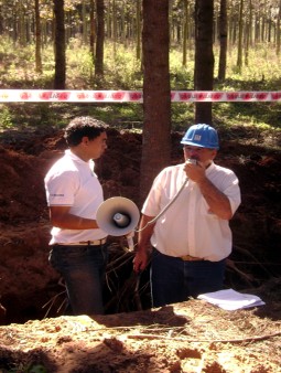 Forestal
